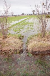 SJR, autosuficiente en abasto de agua