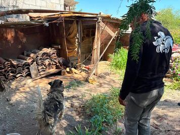 Atiende IMPA reporte por posible maltrato animal en la comunidad de La Providencia