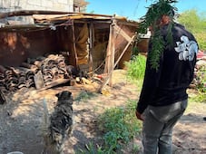 Atiende IMPA reporte por posible maltrato animal en la comunidad de La Providencia