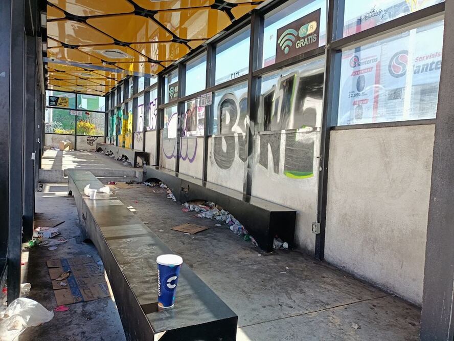 FOTO: FRANCISCO FLORES