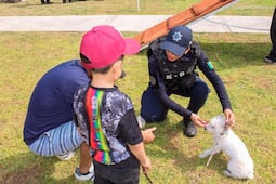 En Corregidora, fomentan la tenencia responsable de mascotas