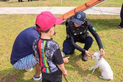 En Corregidora, fomentan la tenencia responsable de mascotas