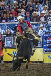 Tour Cuernos Chuecos llegará a SJR