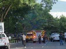 Exigen audiencia con el municipio de Querétaro para advertir riesgos por arbolado