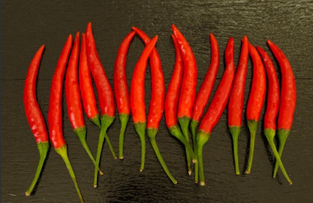 Foto: Tomada de Twitter @TuIMSS