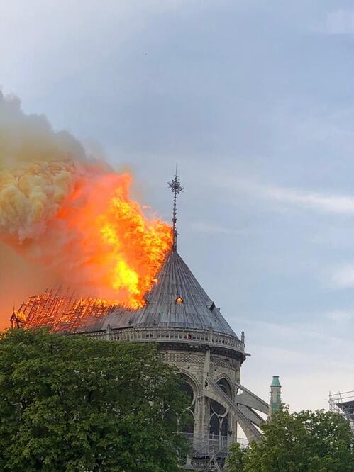 Foto: Cortesía París Rizo