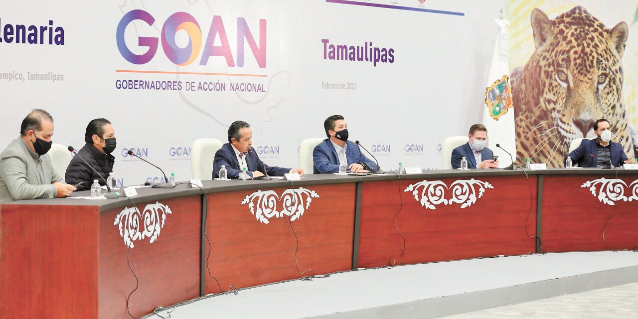 GOAN pide replantear reforma eléctrica