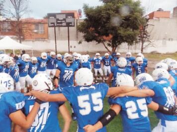 Gatos Salvajes quieren un año redondo