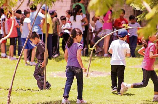 Sedentarismo abonan a obesidad