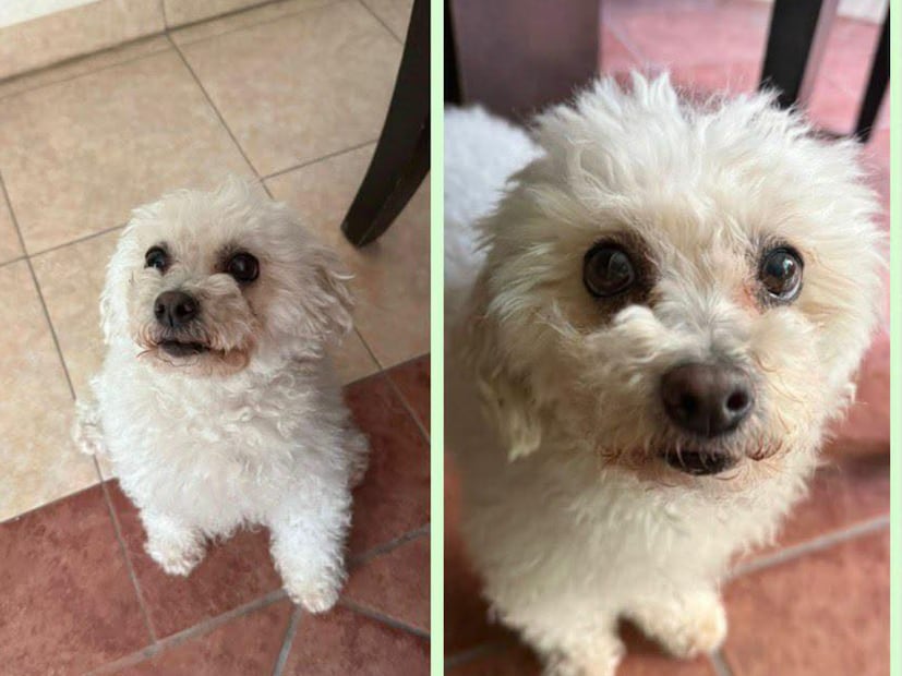 FOTO. CAPTURA DE PANTALLA