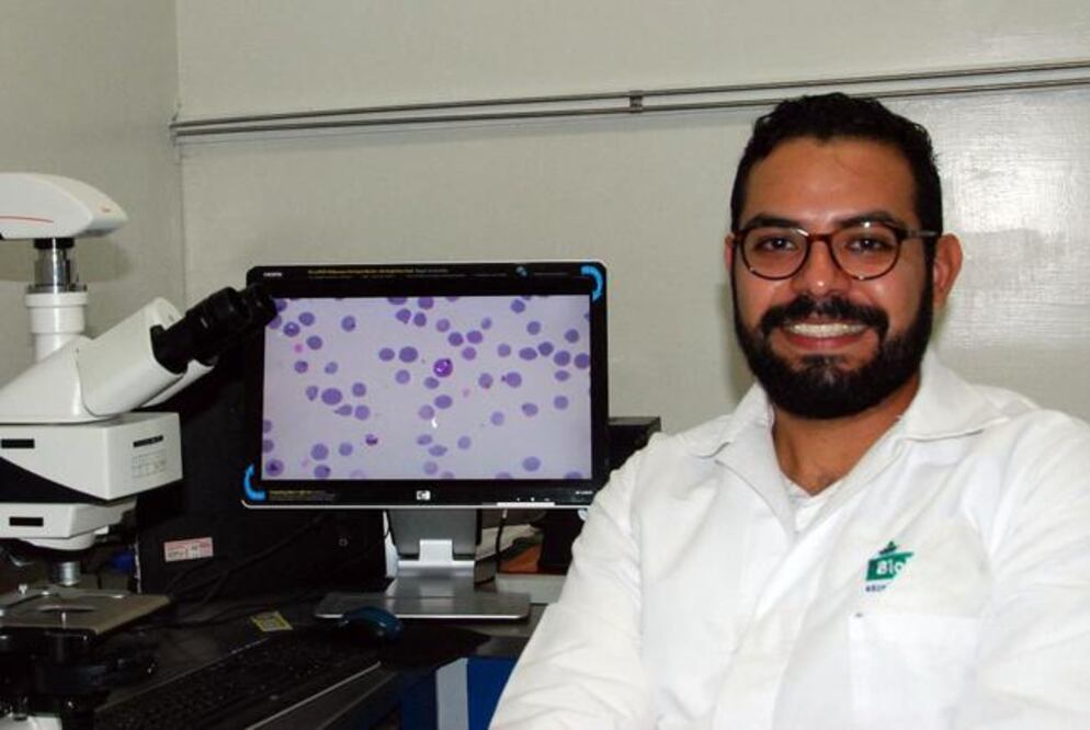Diego Josimar Hernández, investigador de la Facultad de Ciencias Naturales, trabaja en una cauna contra la babesiosis , enfermedad que debilita al ganado (ESPECIAL)