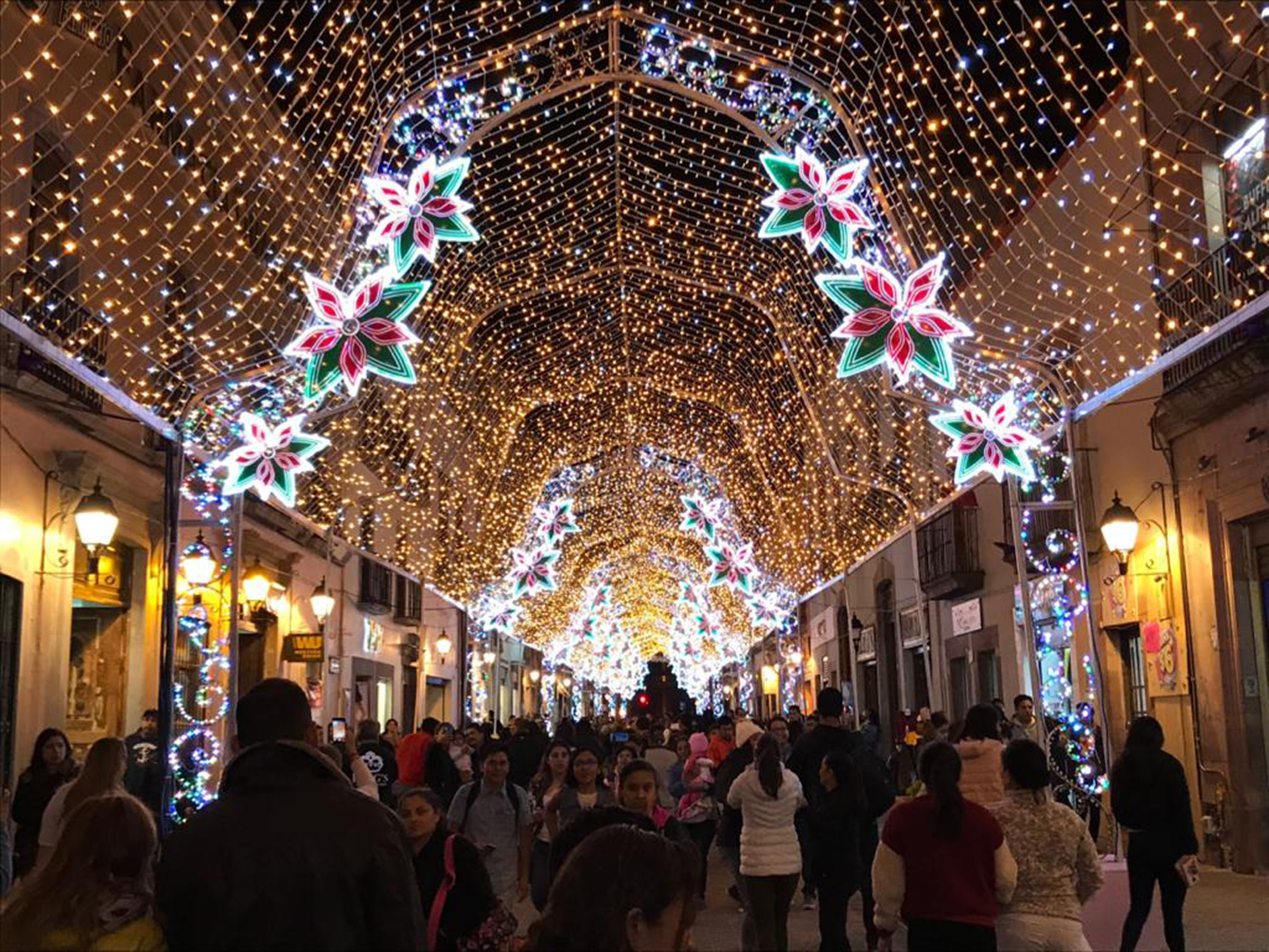 Querétaro se ilumina con el encendido de árbol de Navidad | Querétaro