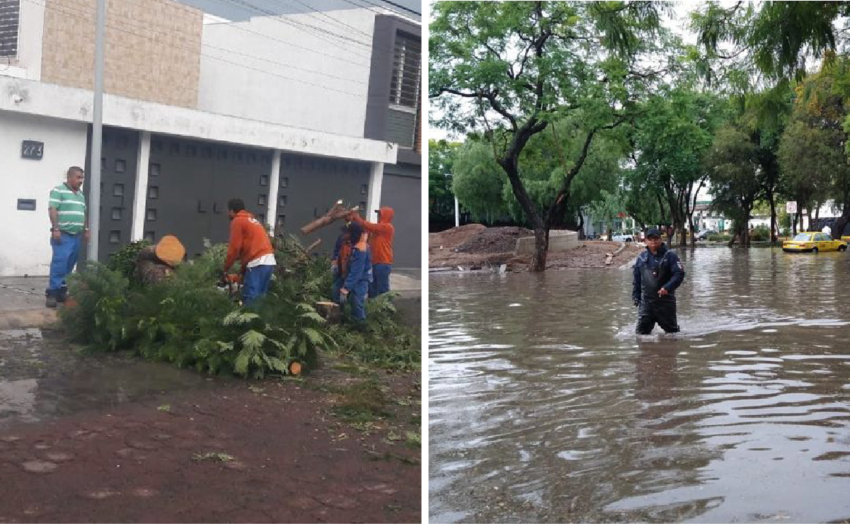 Las lluvias en Querétaro dejaron caídas de árboles y afectaciones en vialidades