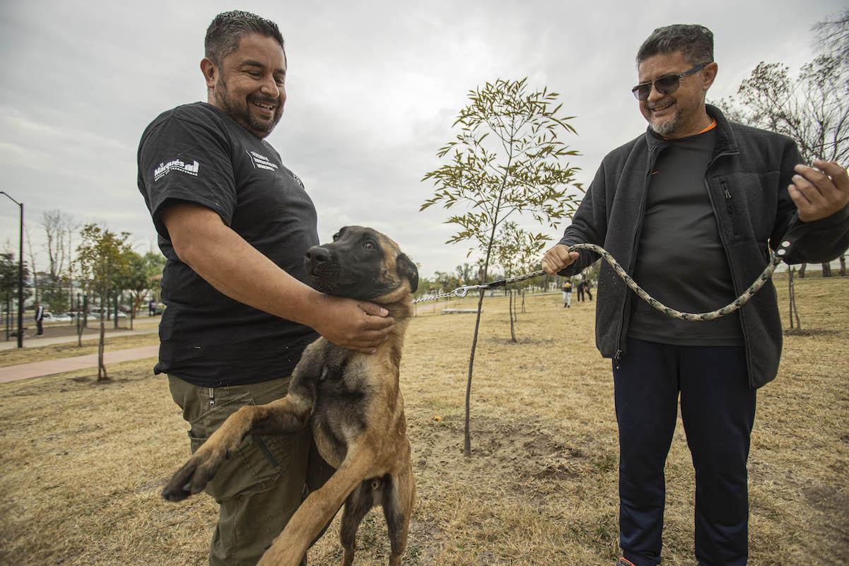 En Querétaro, enseñan adiestramiento con amor y comprensión del lenguaje de canino