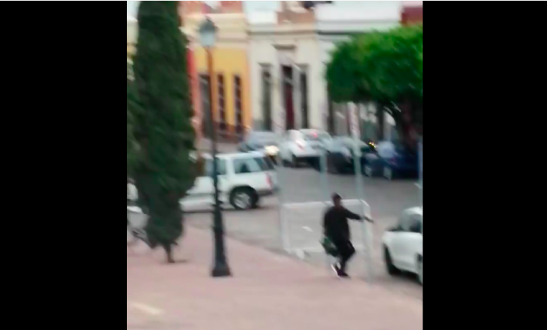 Video. Captan momento en que hombre rapta palomas en el Centro Histórico de Querétaro