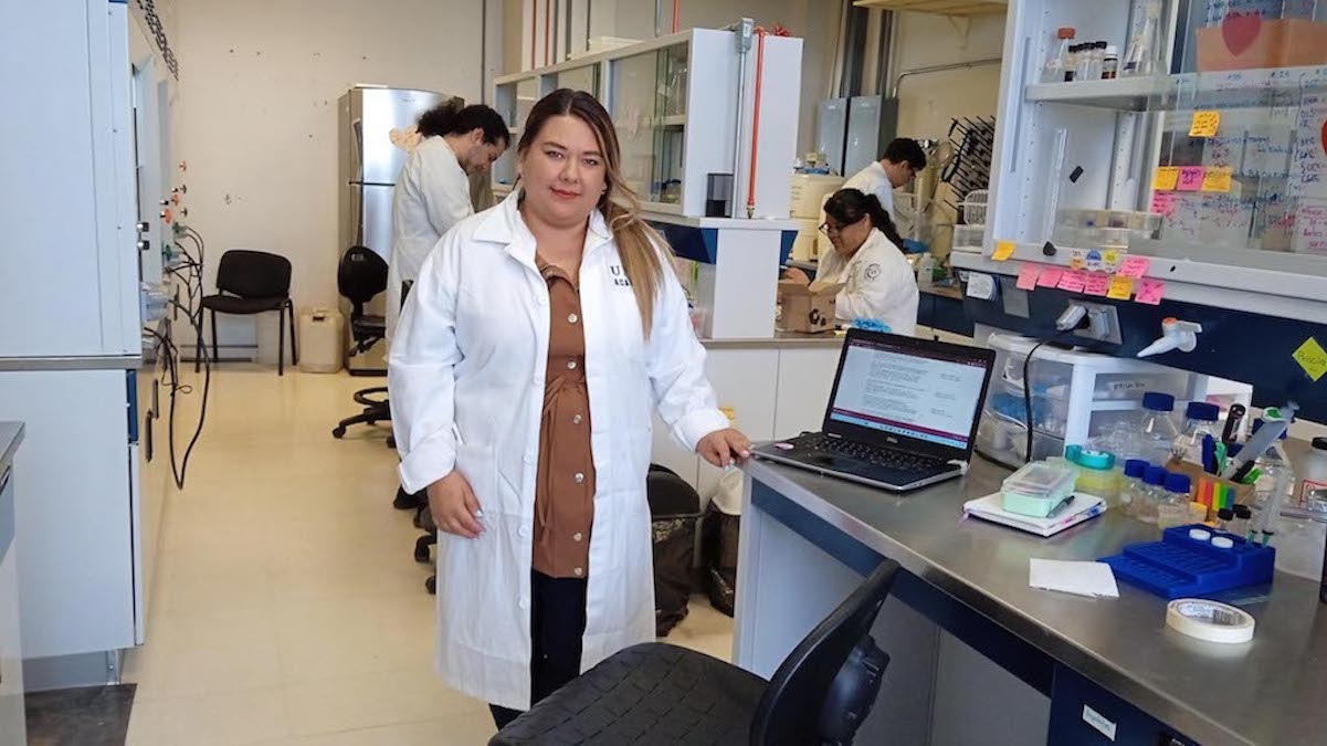 Desde la UNAM Juriquilla, estudian el uso de pol&iacute;meros para la salud 