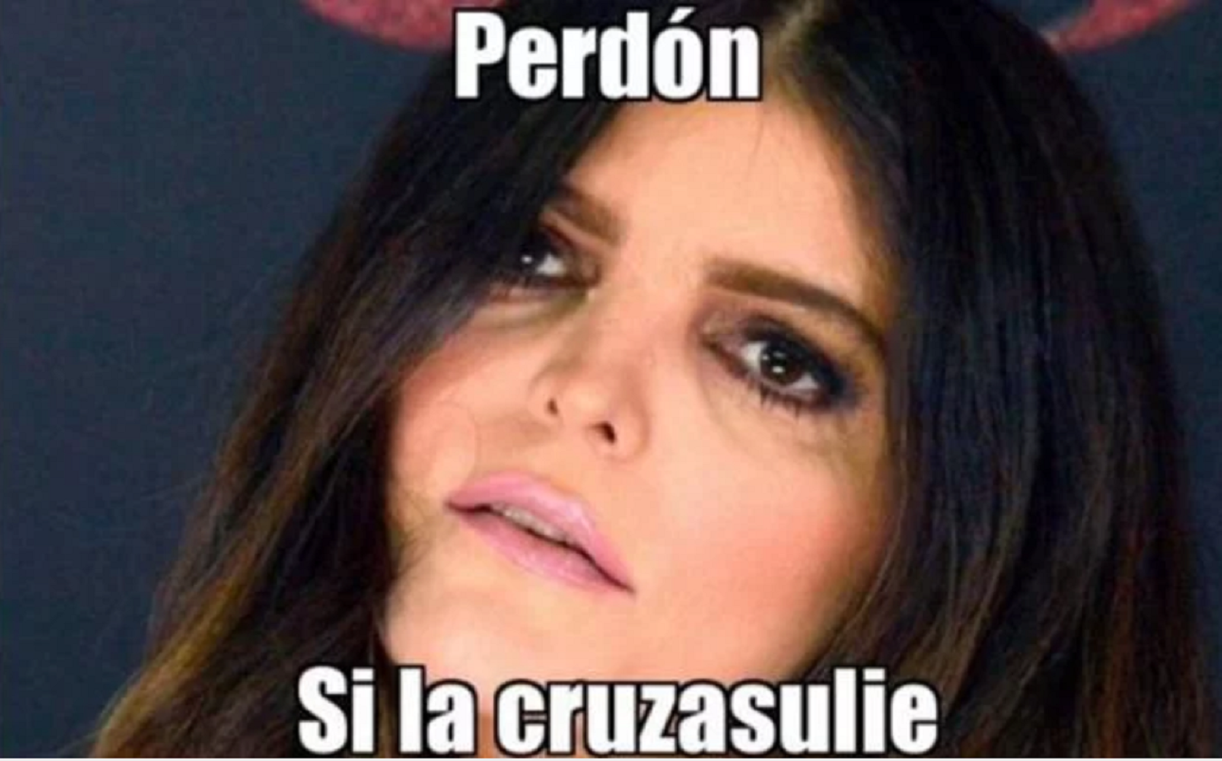 Usuarios de las redes sociales no perdonaron a Ana Bárbara en la final de la Liga MX e hicieron virales algunos memes