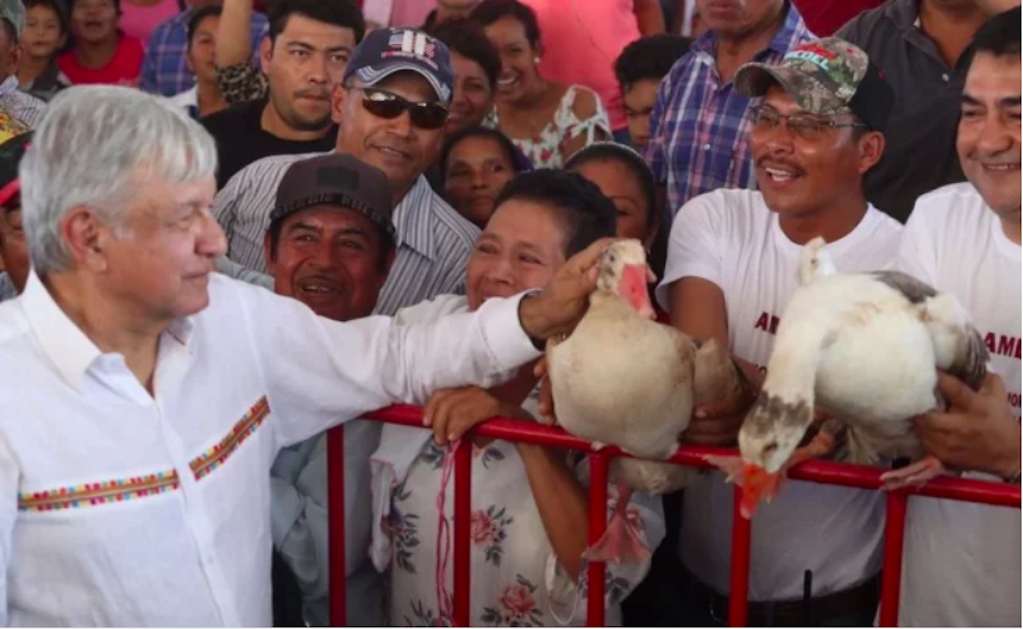 Regalan gansos al presidente López Obrador en Campeche