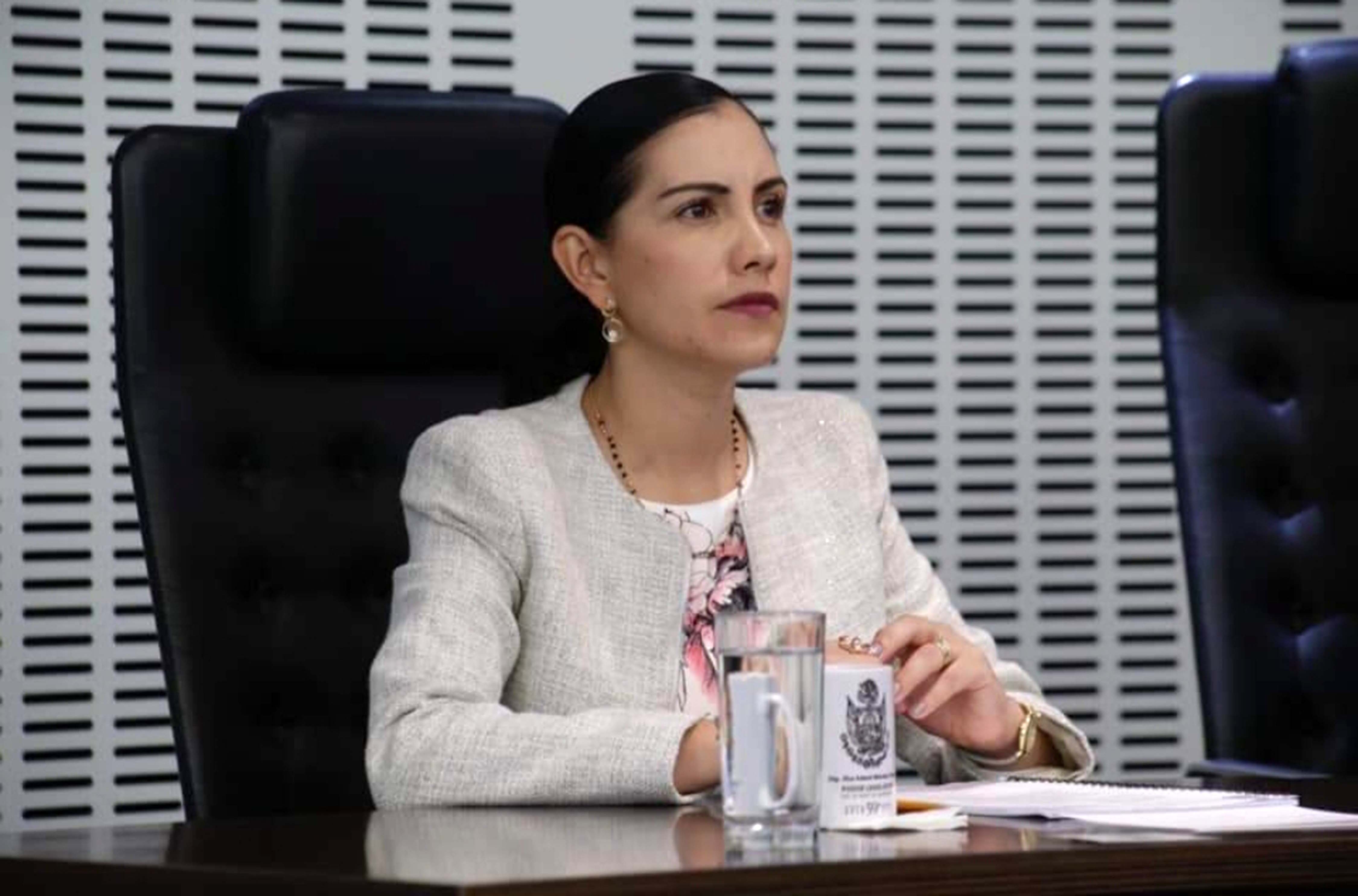 Elsa Méndez rechaza recurso de Defensoría