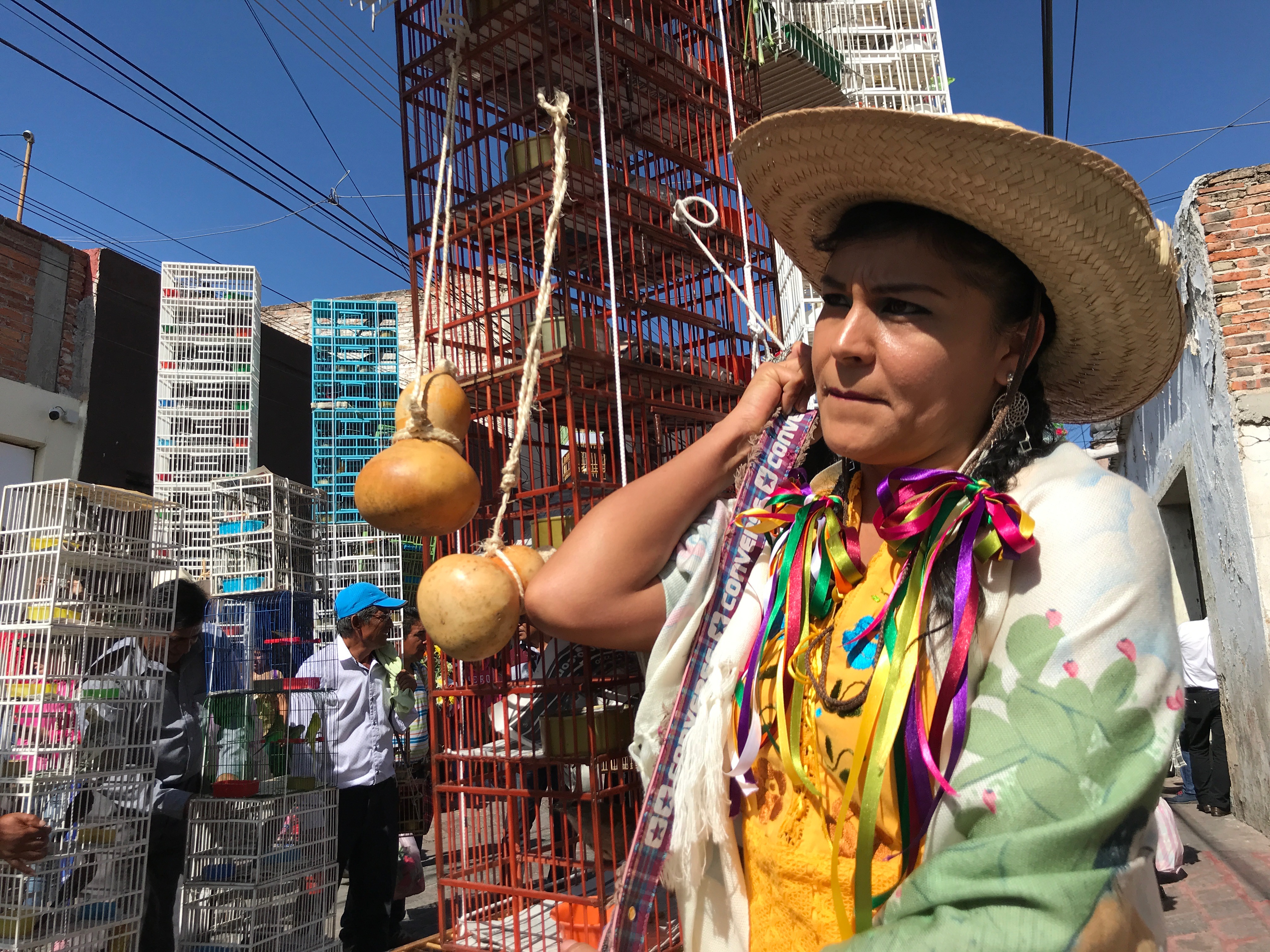 #Crónica| Pajareros y comerciantes peregrinan a La Cruz