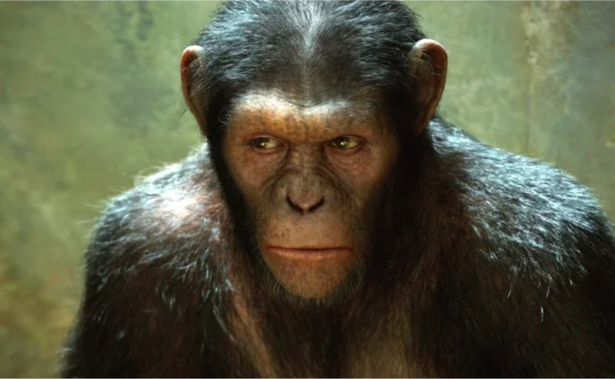 Disney trabaja nueva cinta de "El planeta de los simios"