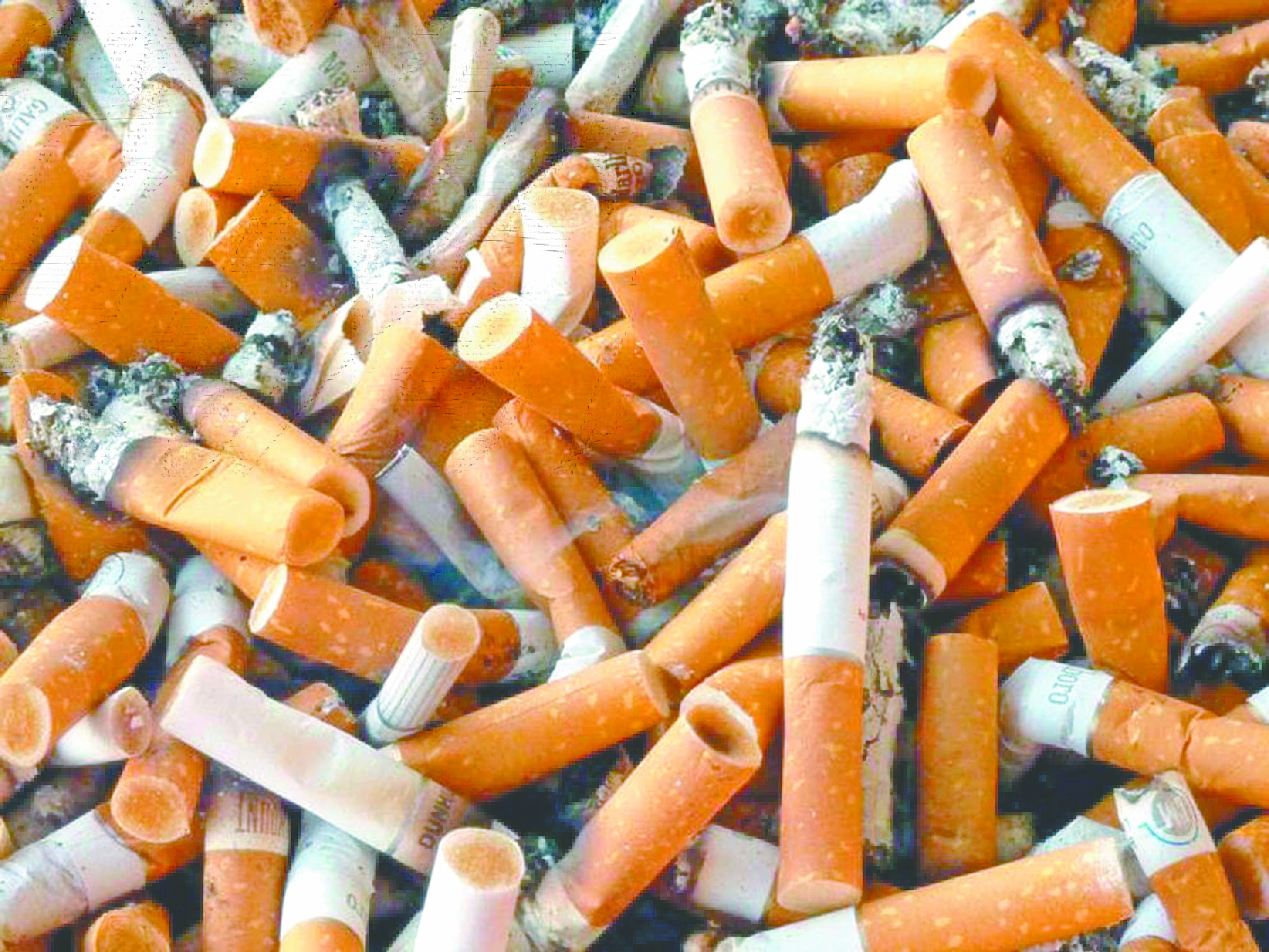 En Querétaro, 16 de 18 municipios pausan reglas sobre colillas de cigarro