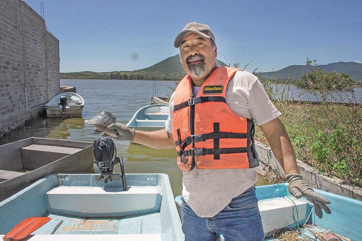 Pescadores "hacen su agosto" en plena temporada de lluvias, en Querétaro