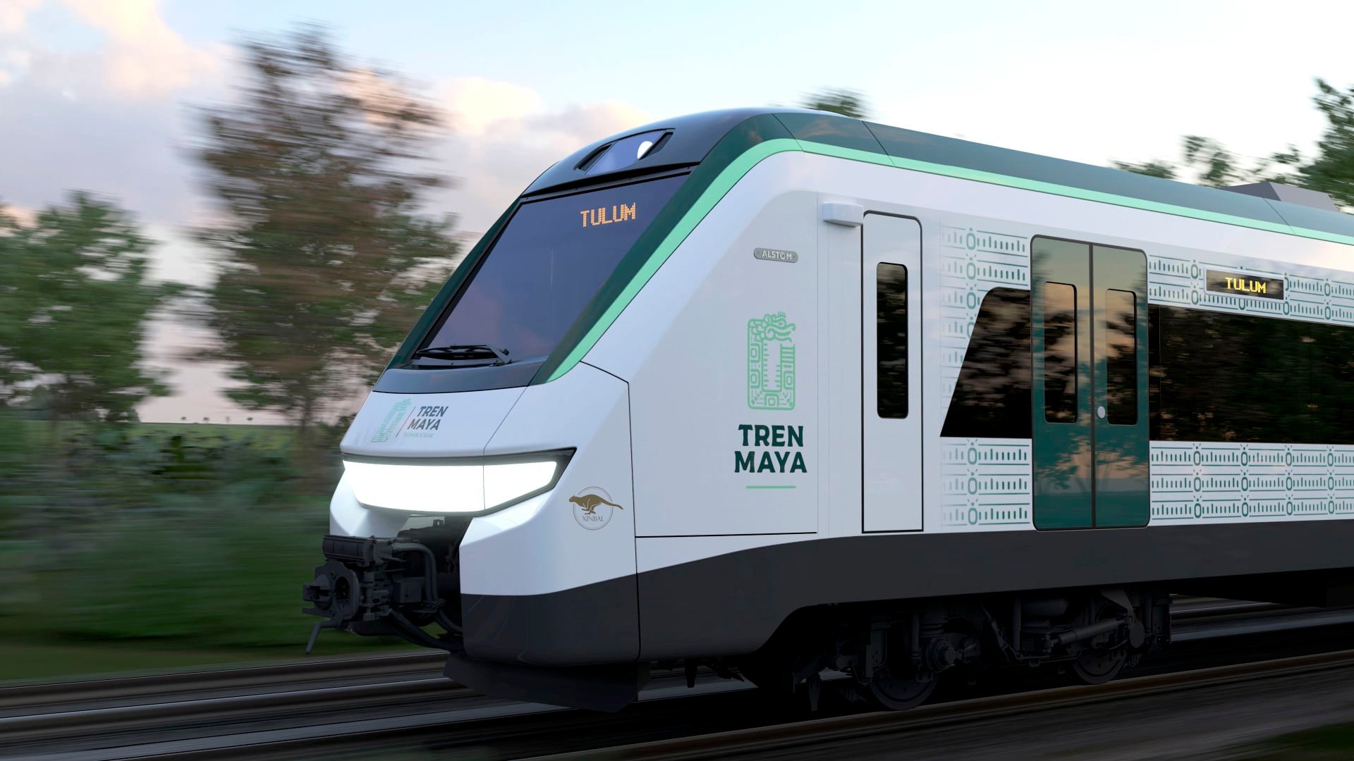 Así serán los vagones del Tren Maya; tendrán camas y restaurante