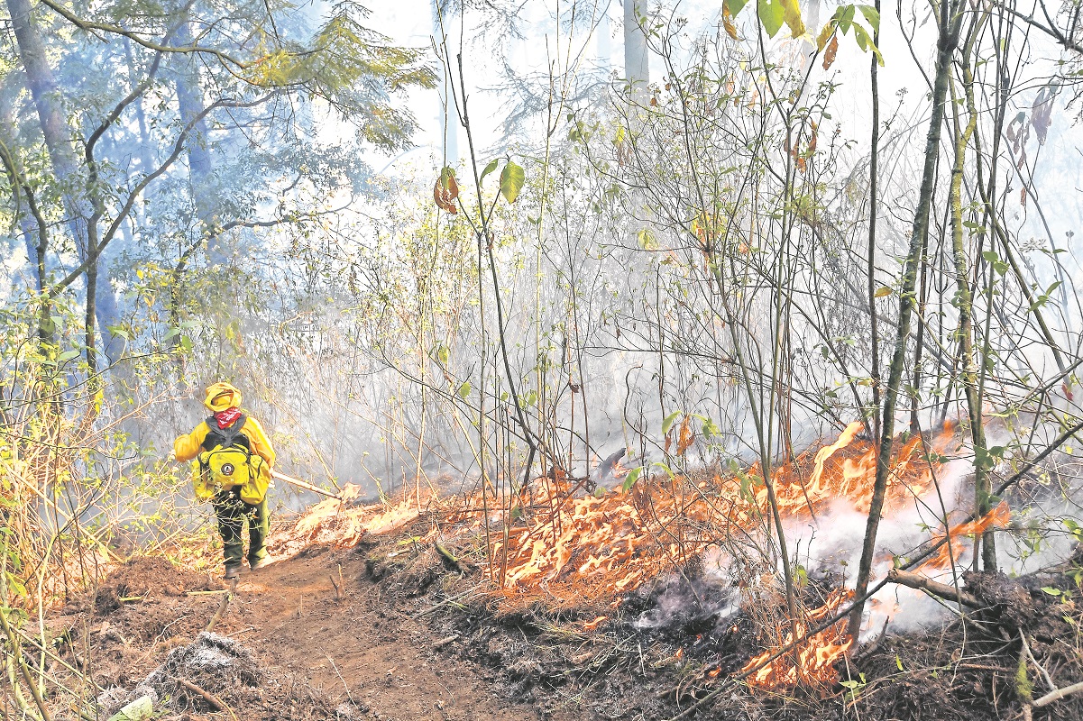 Se incendian más de 2 mil 100 hectáreas en Querétaro en lo que va del 2021 
