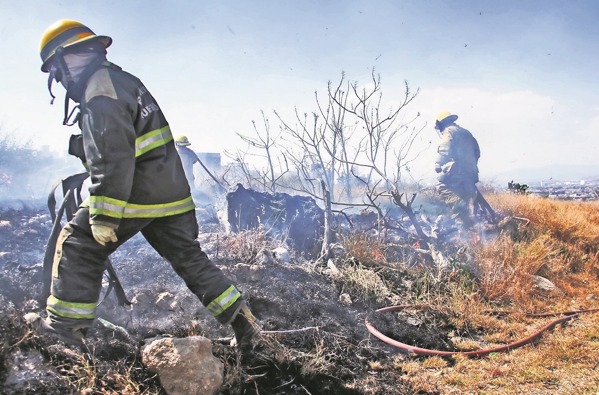 Se han perdido mil hectáreas por los incendios: Di Bella  
