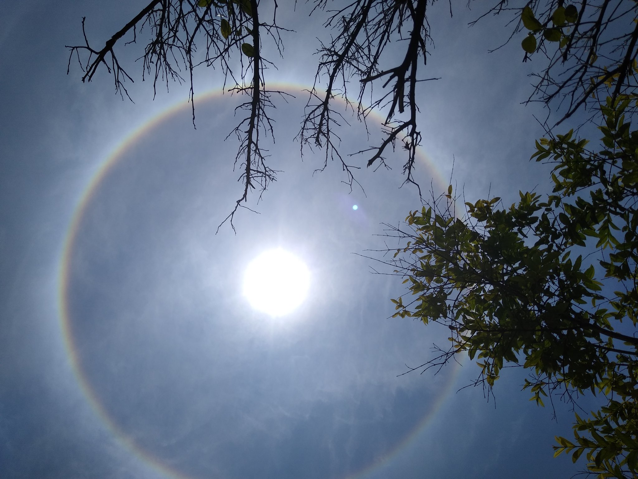 Habitantes de Querétaro captan halo solar: ¿Qué es y por qué se forma?