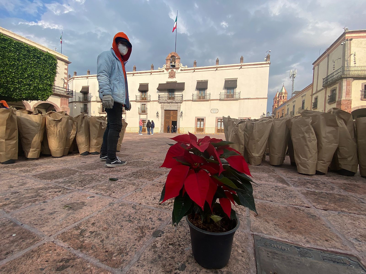 ¡Ya huele a Navidad en el Centro Histórico de Querétaro!