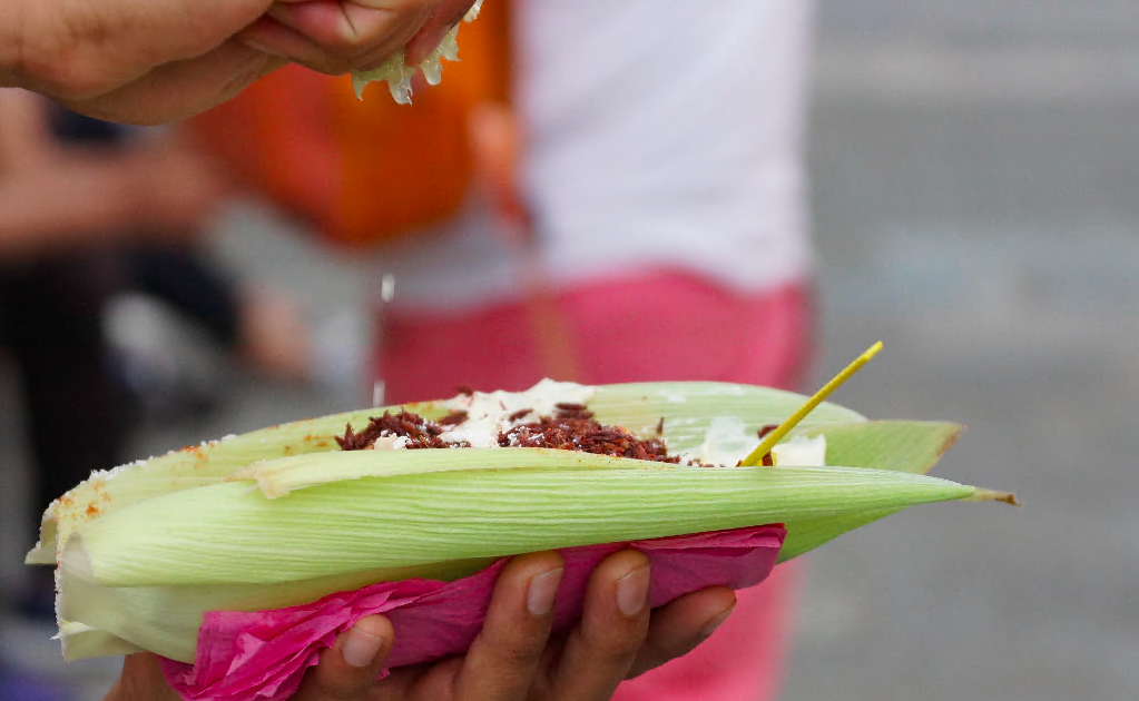 5 alimentos de origen mexicano que nos enorgullecen