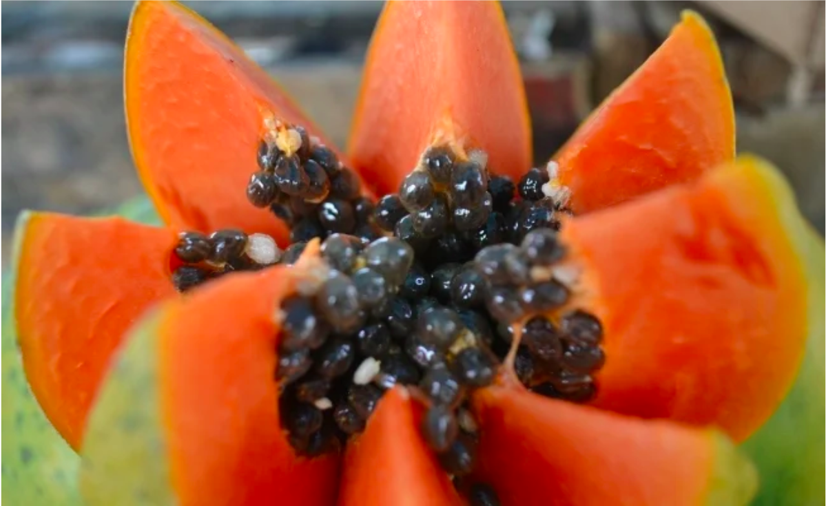 Razones para desayunar papaya esta cuarentena