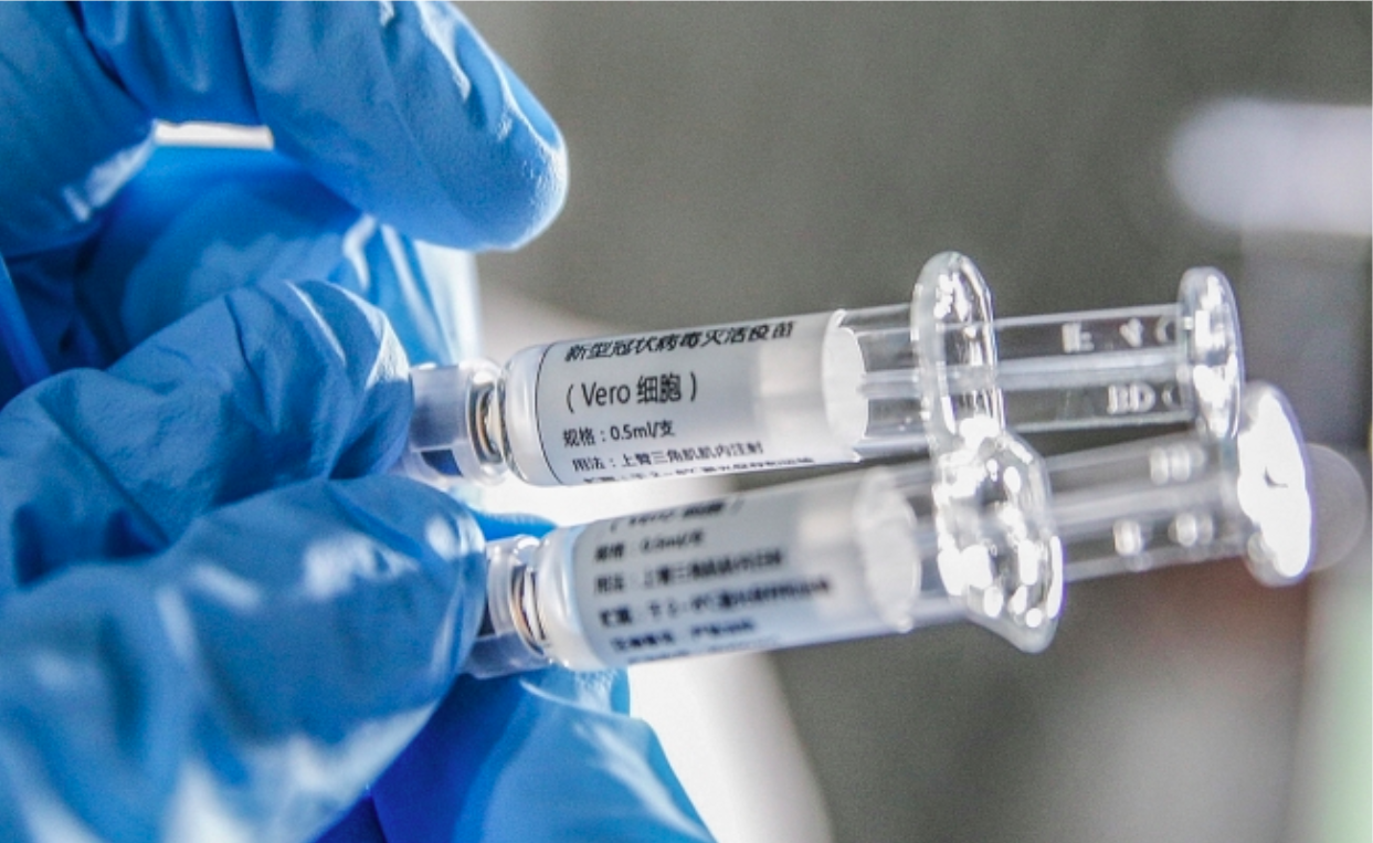 Vacuna china protege del coronavirus monos y ratas