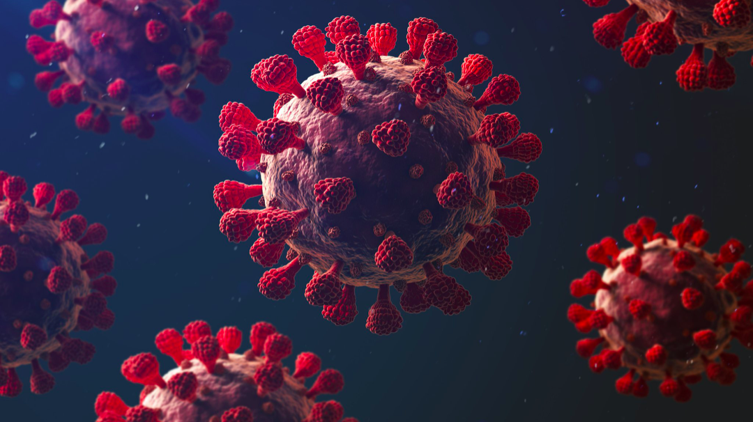 Coronavirus: Las 5 caracter&iacute;sticas que hacen tan mortal al Covid-19