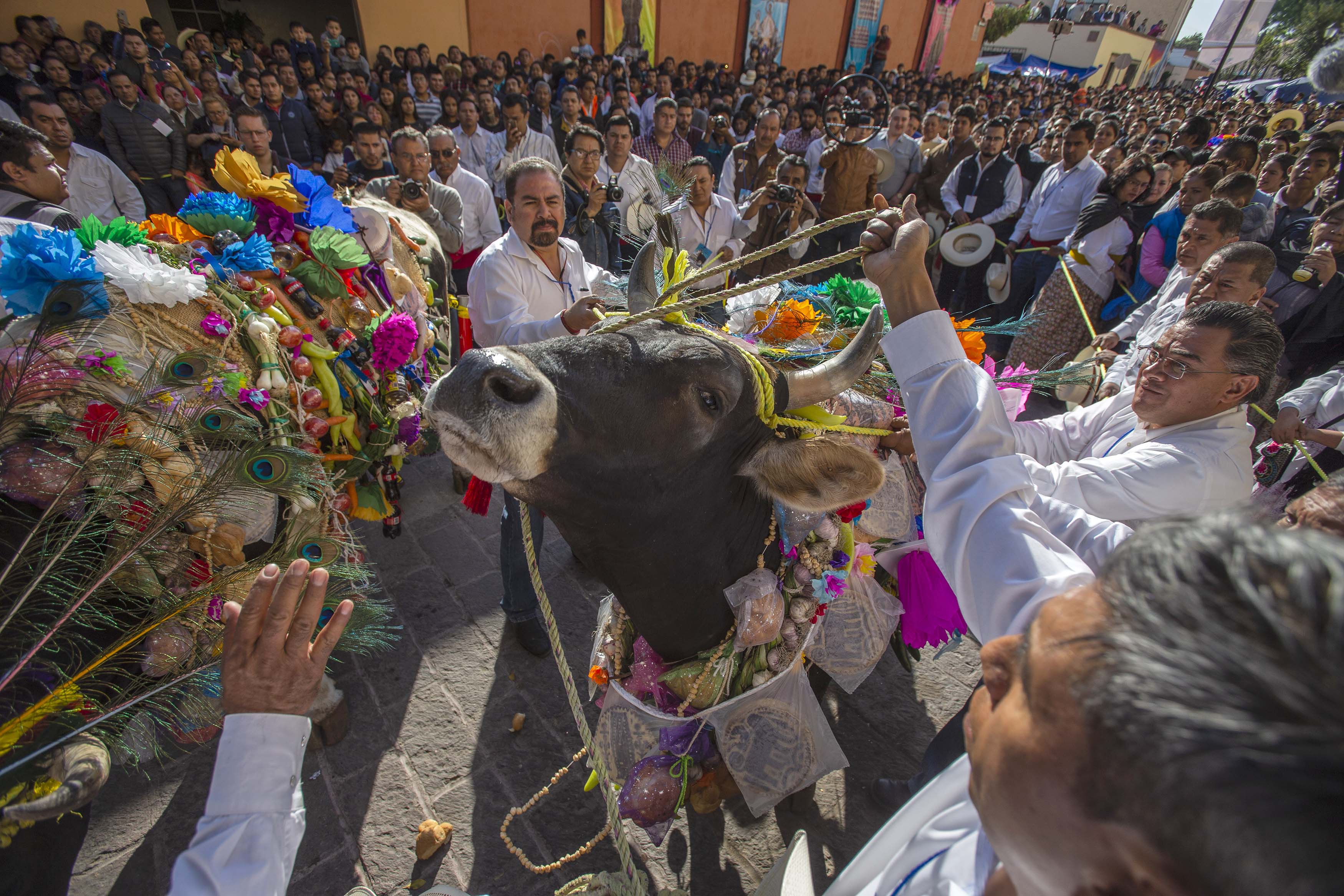Fiestas de El Pueblito ya son Patrimonio Cultural Inmaterial de Quer&eacute;taro