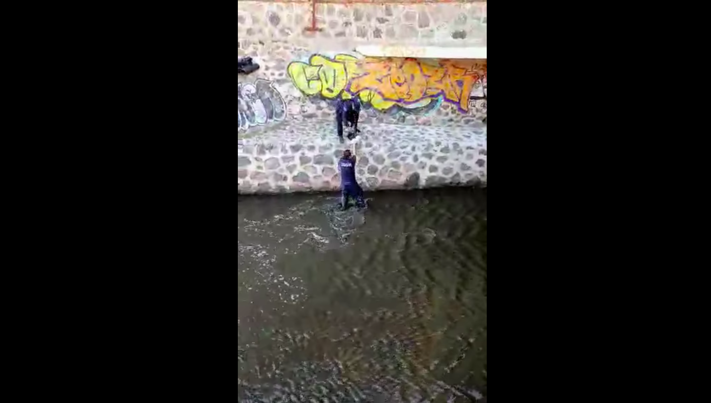 Video. Poli se mete a aguas negras para rescatar a perrito atrapado en Quer&eacute;taro
