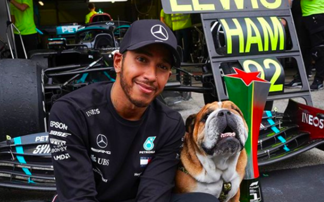 Tras volver a su perro vegano, Lewis Hamilton fue denunciado y podr&iacute;a ir a la c&aacute;rcel