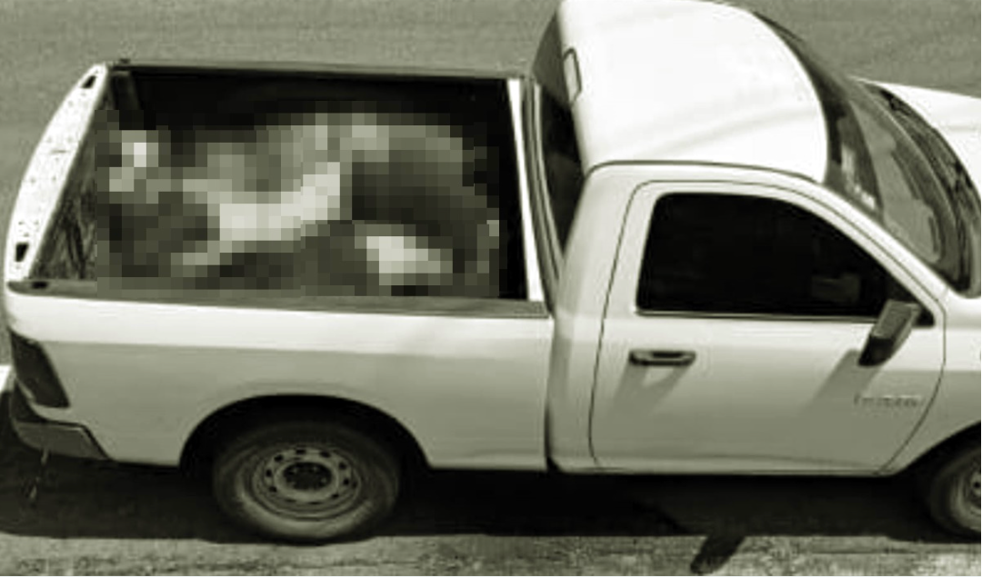 Abandonan 6 cuerpos en Michoac&aacute;n a bordo de una camioneta con placas de Quer&eacute;taro