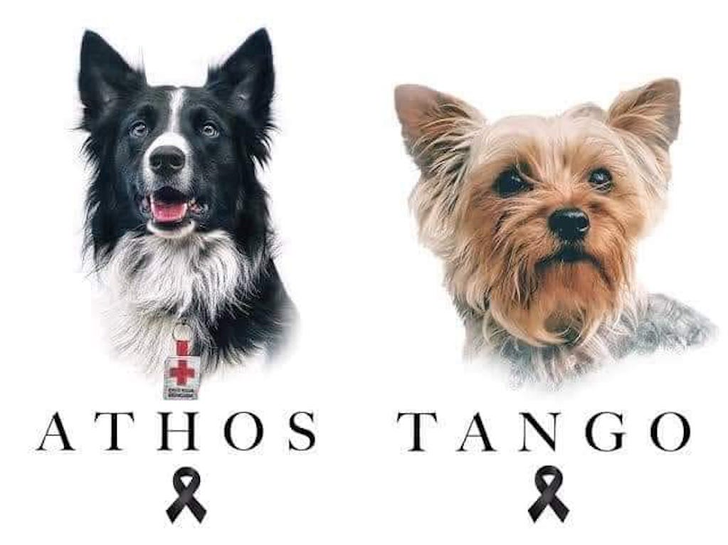 Este martes, ser&aacute; el juicio por asesinato de Athos y Tango, los perritos rescatistas que murieron envenenados