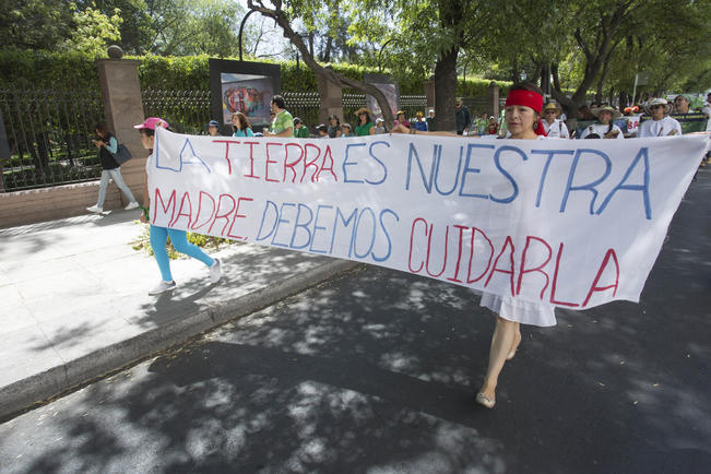 Protestan por tala de &aacute;rboles en Zaragoza