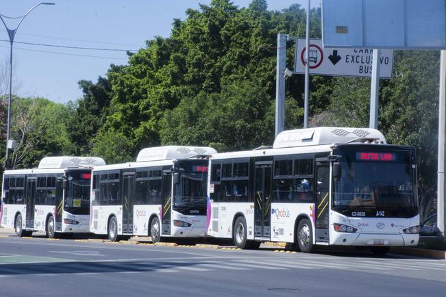 Integran 59 autobuses a sistema de transporte